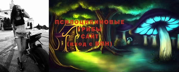 гашик Бабаево