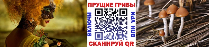 Галлюциногенные грибы Psilocybine cubensis  это наркотические препараты  Николаевск 