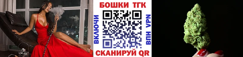 Бошки Шишки THC 21%  сколько стоит  Николаевск 
